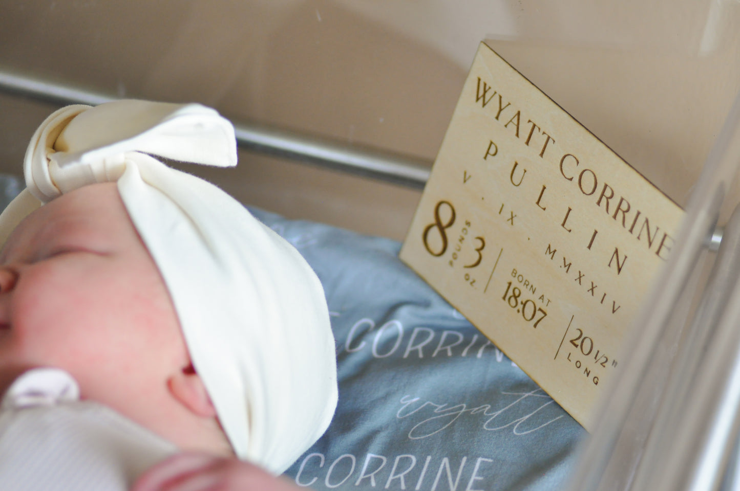 Custom Birth Announcement Sign