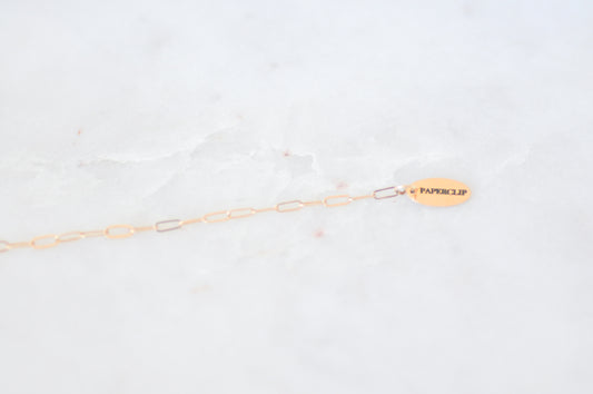 Zapped Paper Clip